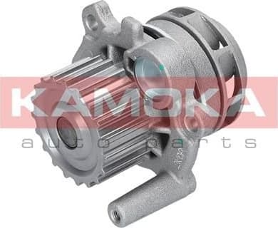 Water Pump, engine cooling T0034