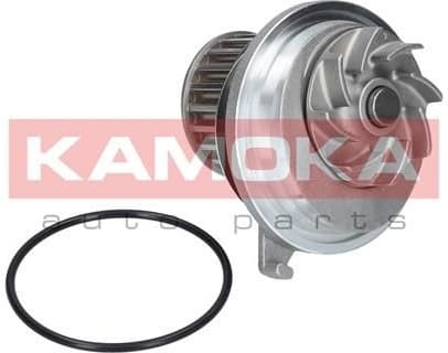 Water Pump, engine cooling T0228