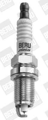 Z 279 (BorgWarner (BERU)) - image 2