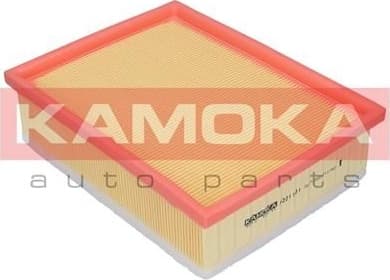 Air Filter F221101 - image 4