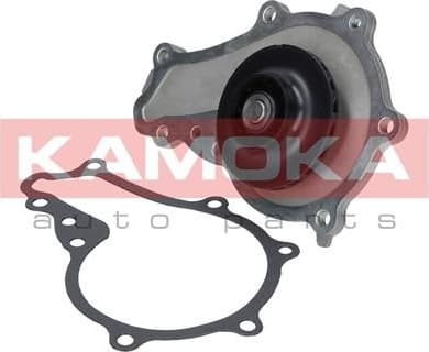 Water Pump, engine cooling T0081