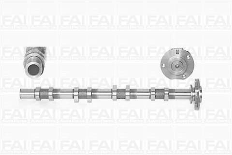 Camshaft C252