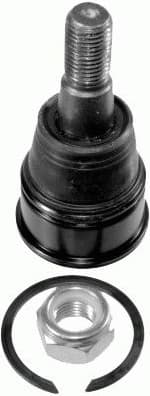 Ball Joint 31208 01