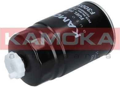 Fuel Filter F300301 - image 3