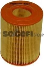 Air Filter A393