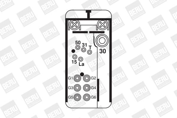 GR 076 (BorgWarner (BERU)) - image 2