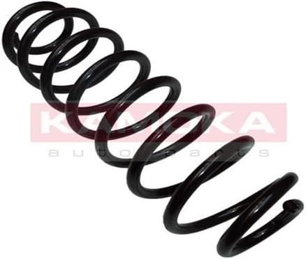 Coil spring 2120217