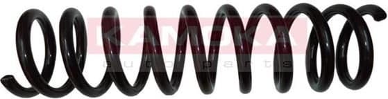 Coil spring 2120149