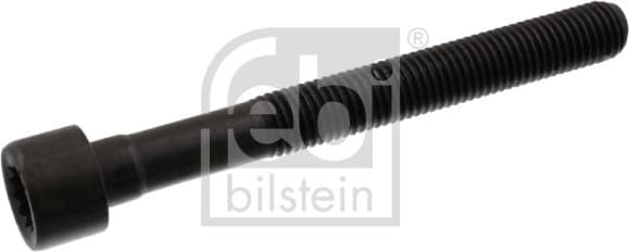Cylinder Head Bolt 07978