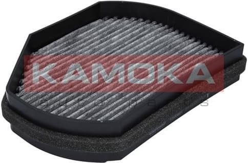 Filter, cabin air F500601