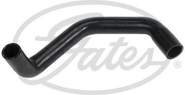 Radiator Hose 3610