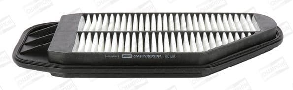 Air Filter CAF100939P