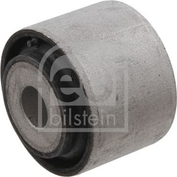 Mounting, control/trailing arm 30643