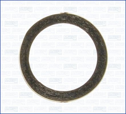 Seal Ring, exhaust pipe 19001100