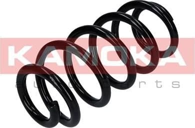 Coil spring 2120259