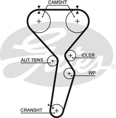 Timing Belt PowerGrip™ 5585XS
