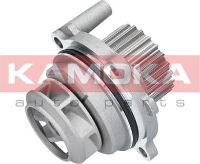Water Pump, engine cooling T0029
