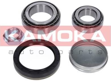 Wheel Bearing Kit 5600004