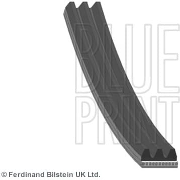 V-ribbed Belt AD03R848