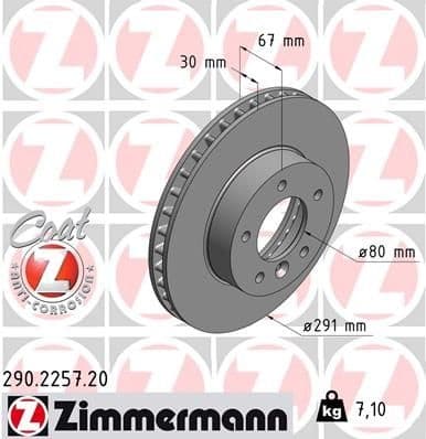 Brake Disc COAT Z 290.2257.20
