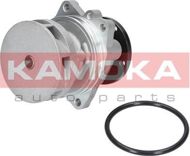 Water Pump, engine cooling T0059