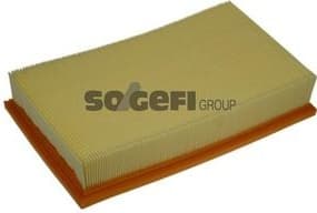 Air Filter A1169