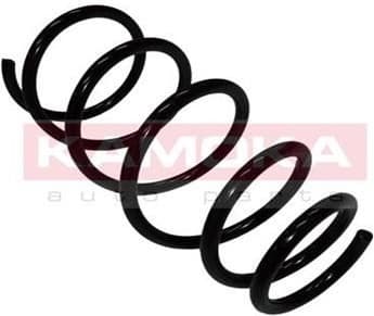 Coil spring 2110277