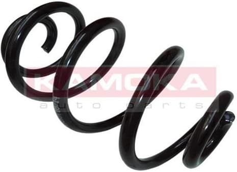 Coil spring 2120210