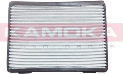 Filter, cabin air F503001