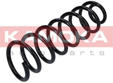Coil spring 2120167