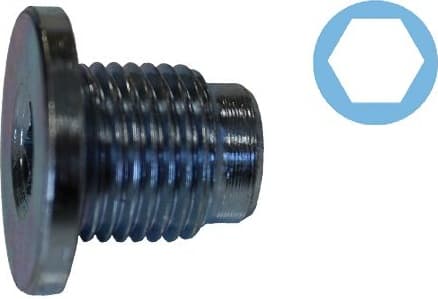 Screw Plug, oil sump 220135S - image 2