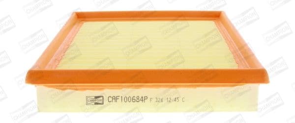 Air Filter CAF100684P