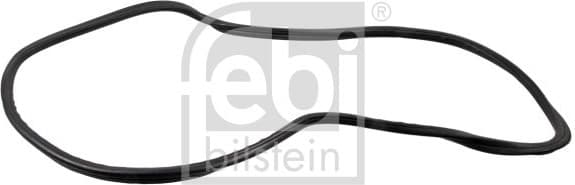 Seal, rear window 08889