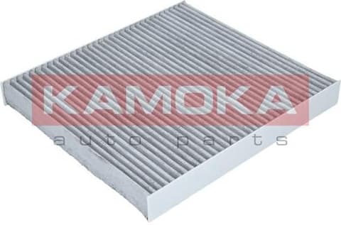 Filter cabin F509601