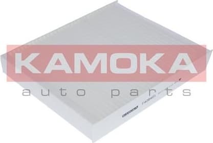 Filter, cabin air F405401 - image 3