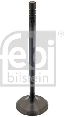 Intake Valve 38604
