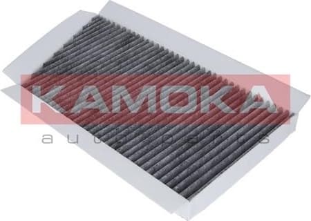 Filter, cabin air F502601
