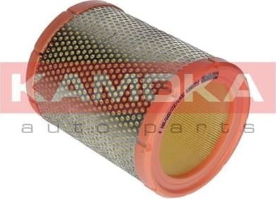 Air Filter F213701 - image 4