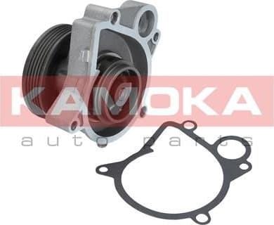 Water Pump, engine cooling T0061