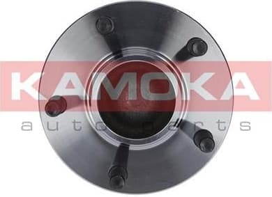 Wheel Bearing Kit 5500098