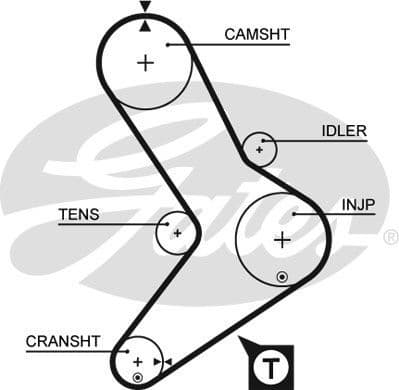 Timing Belt PowerGrip™ 5039 - image 2