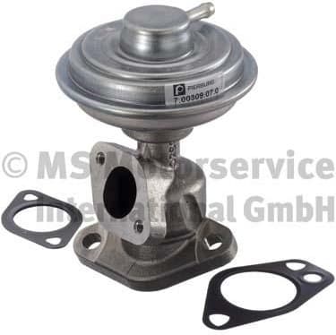 EGR Valve 7.00309.07.0