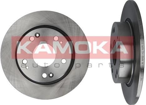 Brake Disc 1031028