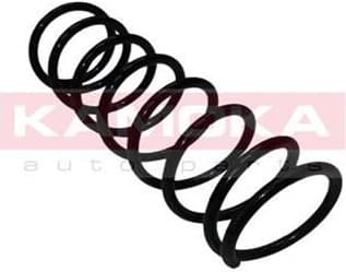 Suspension Spring 2120038