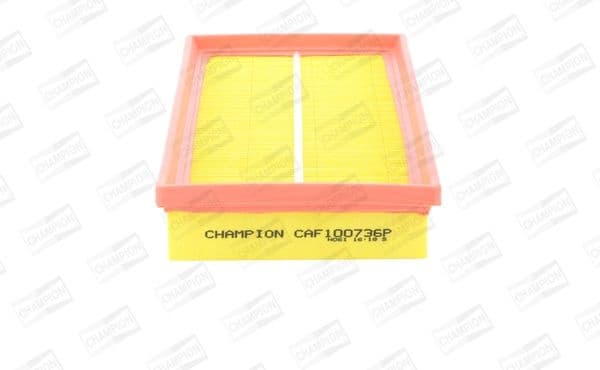 Filter air CAF100736P - image 2