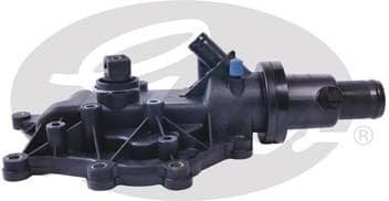 Thermostat, coolant TH40289G1