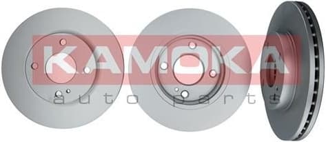 Brake Disc 1031009