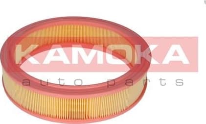 Air Filter F209301