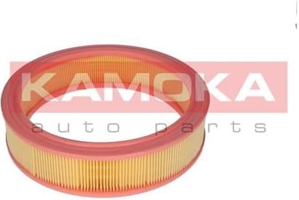 Air Filter F209301 - image 2