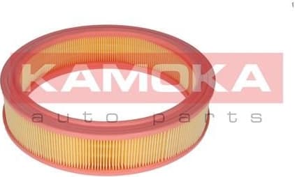 Air Filter F209301 - image 3